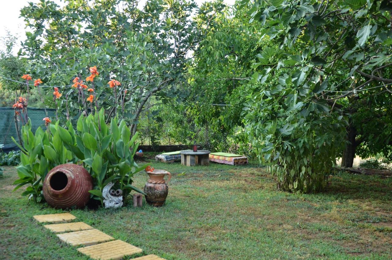 Doloi Garden House Villa Málta Eksteriør bilde